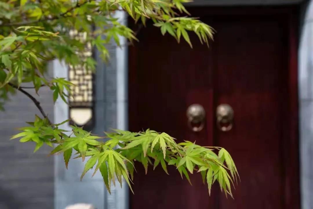 【极致简约 格调非凡】简约而不简单